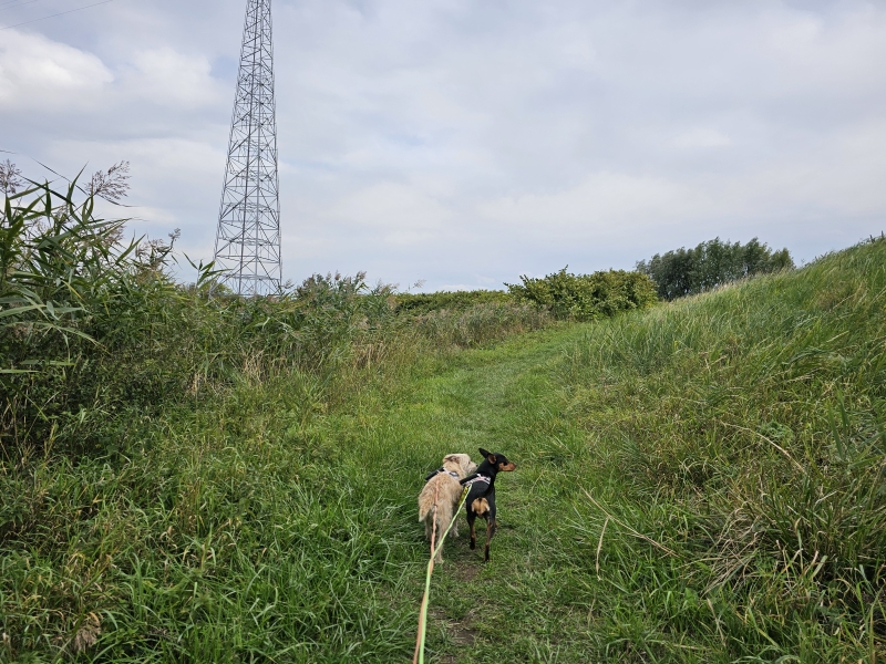 Niels Broek en Walenhoek wandeling in Niel