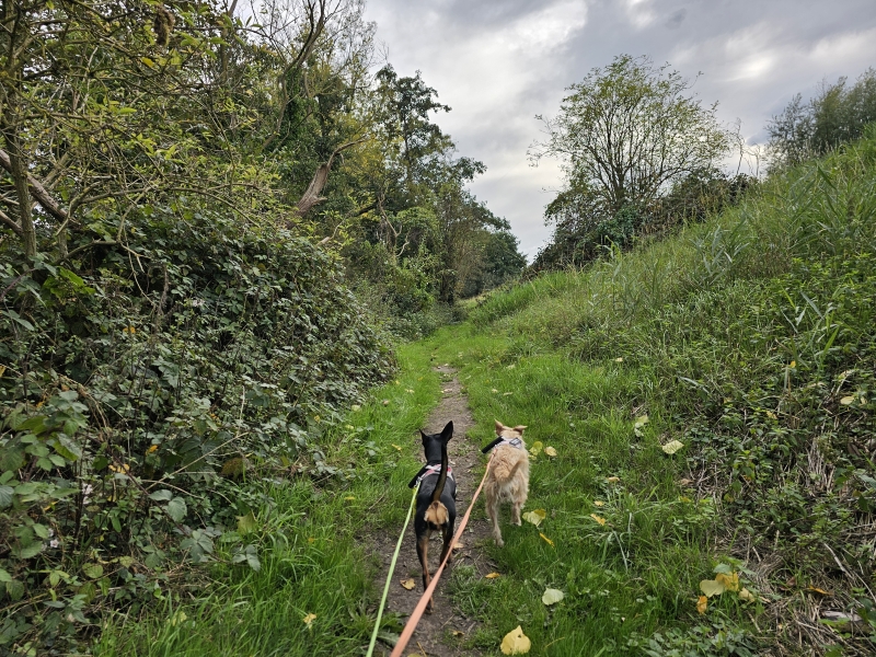 Wandelroute door Niels Broek en Walenhoek in Niel