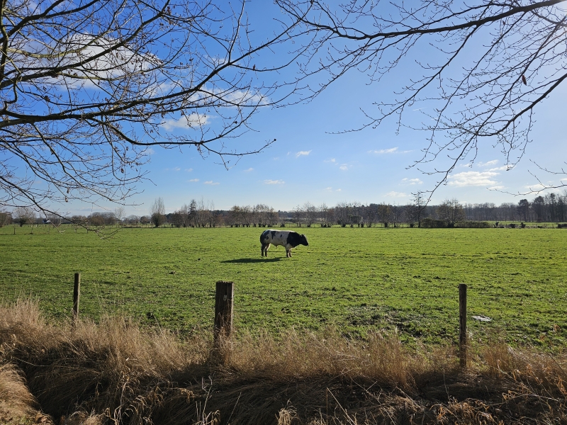 Oosteeklo wandelroute