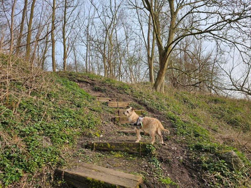Oude Netearm wandelroute Rumst Oude Netearm wandelroute Rumst