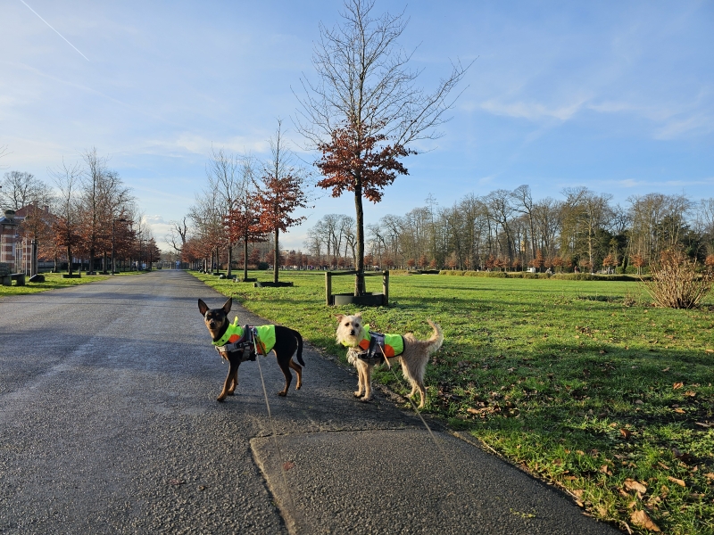 Park en boswandeling in Brasschaat, Antwerpen