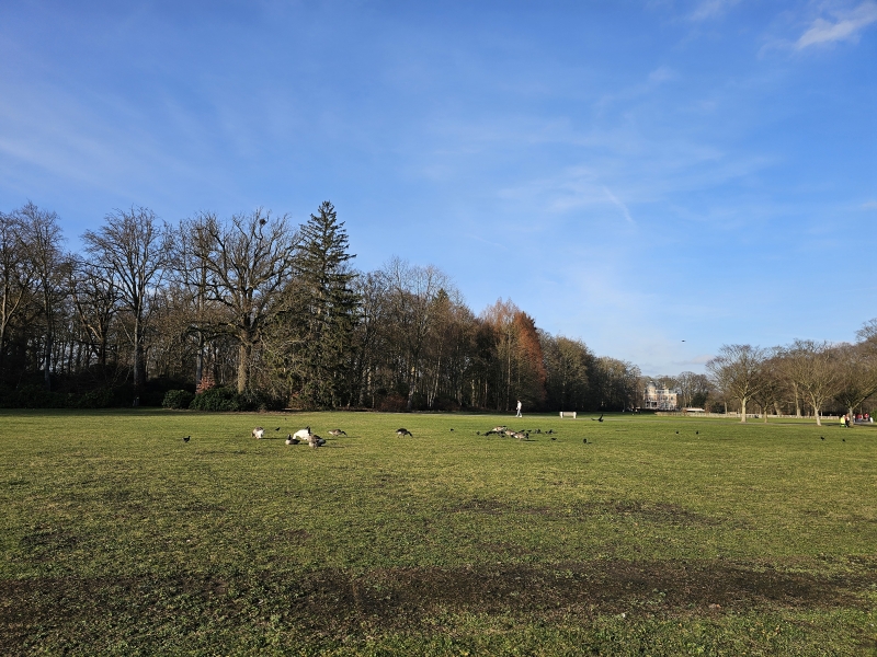 Park van Brasschaat in Antwerpen