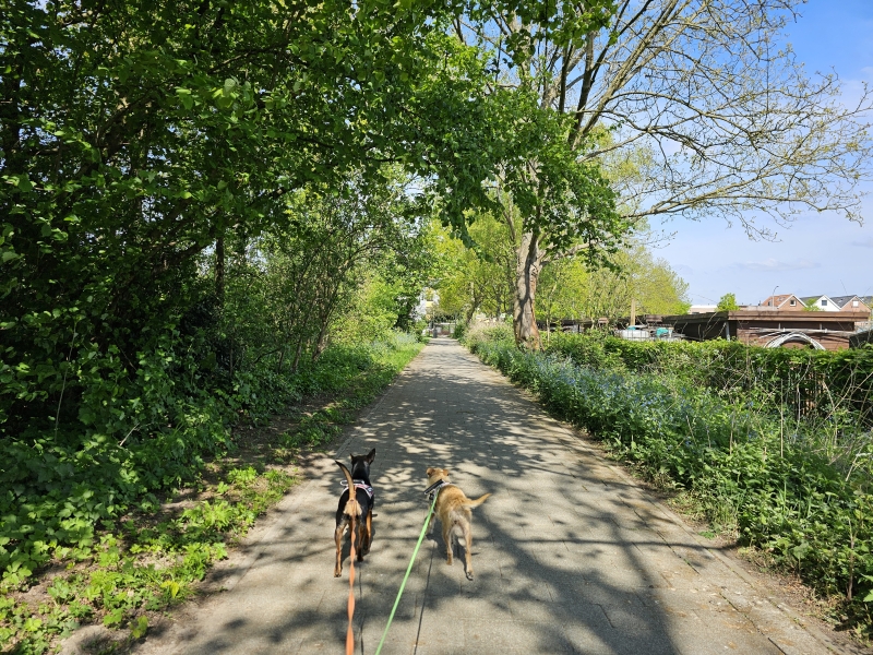 Park van Eeden in Wilrijk, wandelroute met honden