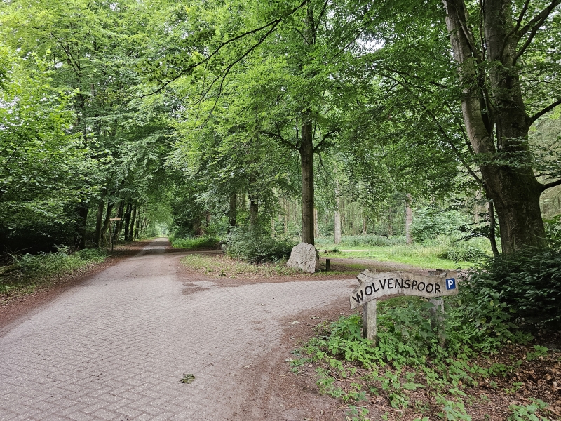 Parking wandelroute Wolvenspoor en losloopgebied in boswachterij Schoonloo in Drenthe