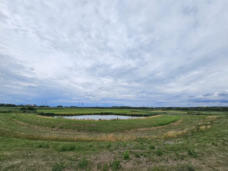 Prachtig uitzicht over de Rupelmondse Kreek in Rupelmonde