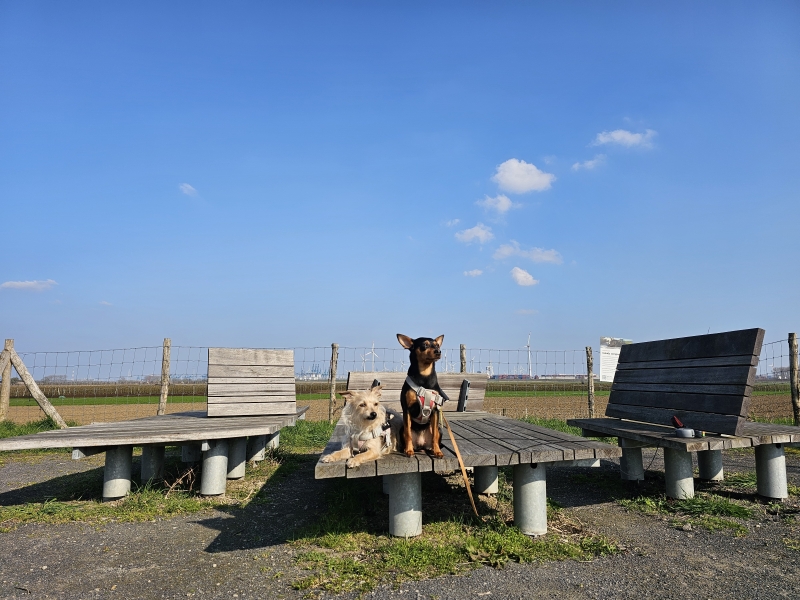 Rond de Kieldrechtse Kreek wandelroute
