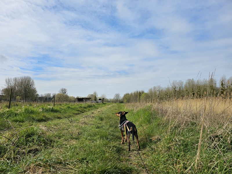 Rotte Gaten wandelroute in Meerbeek, Kortenberg
