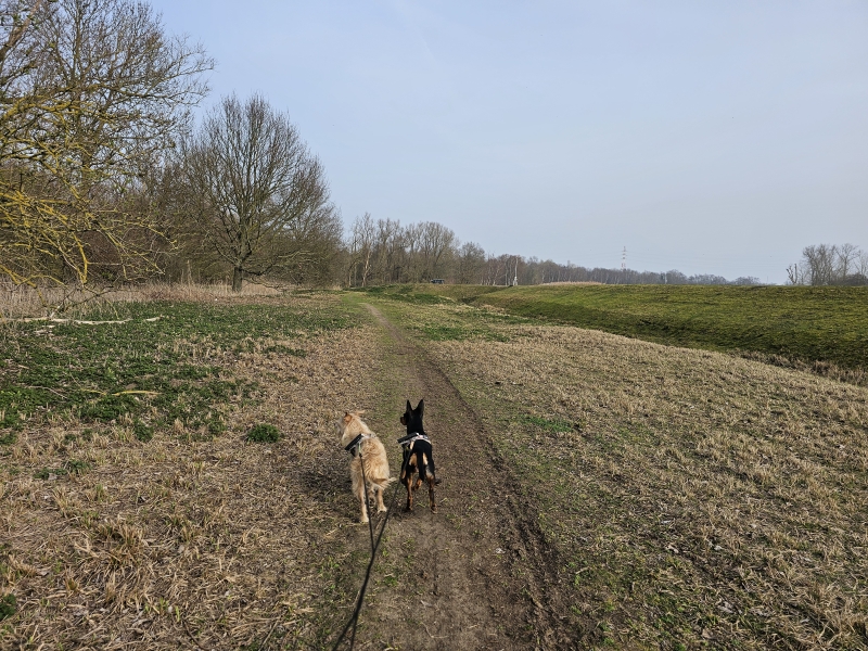 Rumst wandeling Oude Netearm Rumst wandeling Oude Netearm