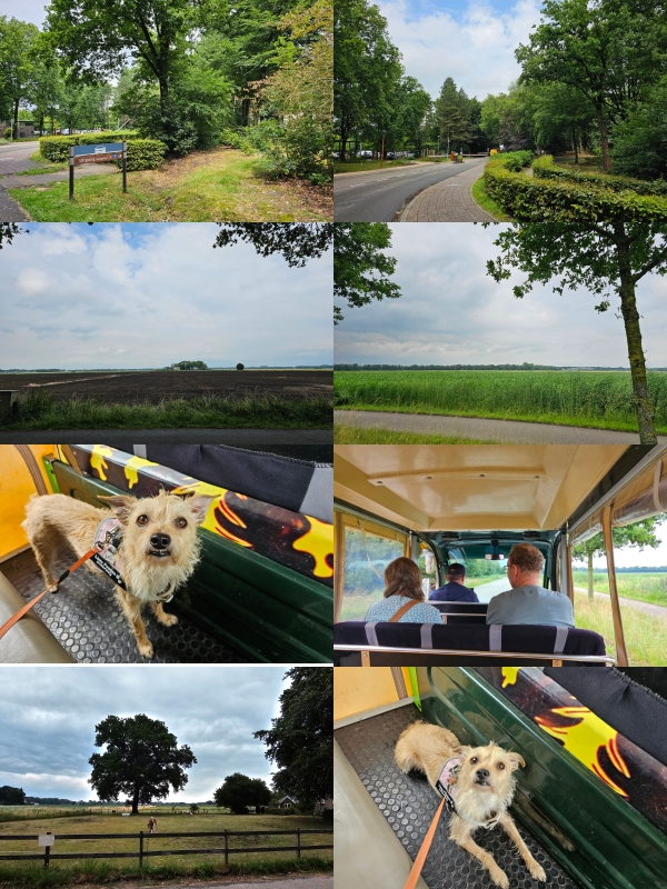 Samen met de honden in het treintje van Centerparcs naar Coevorden in Drenthe