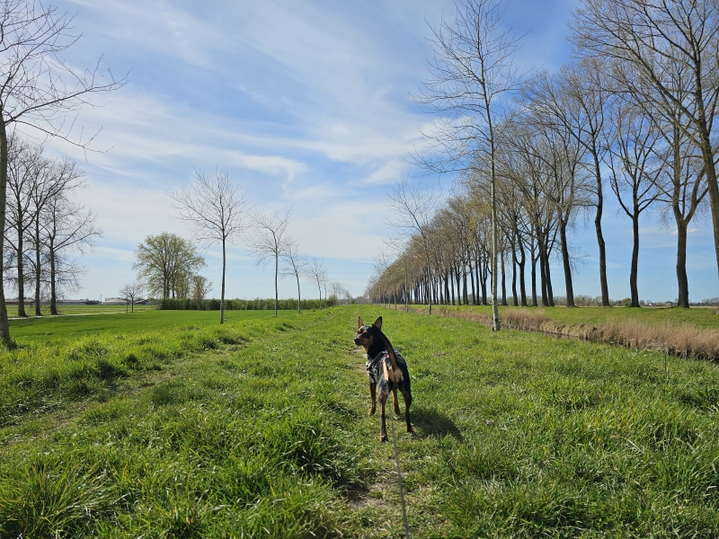 Sint-Laureins kreken wandeling