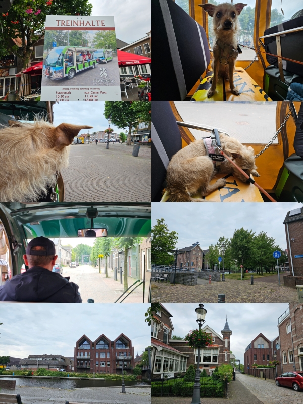 Stadsrondrit in Coevorden tijdens onze vakantie met hond in Drenthe
