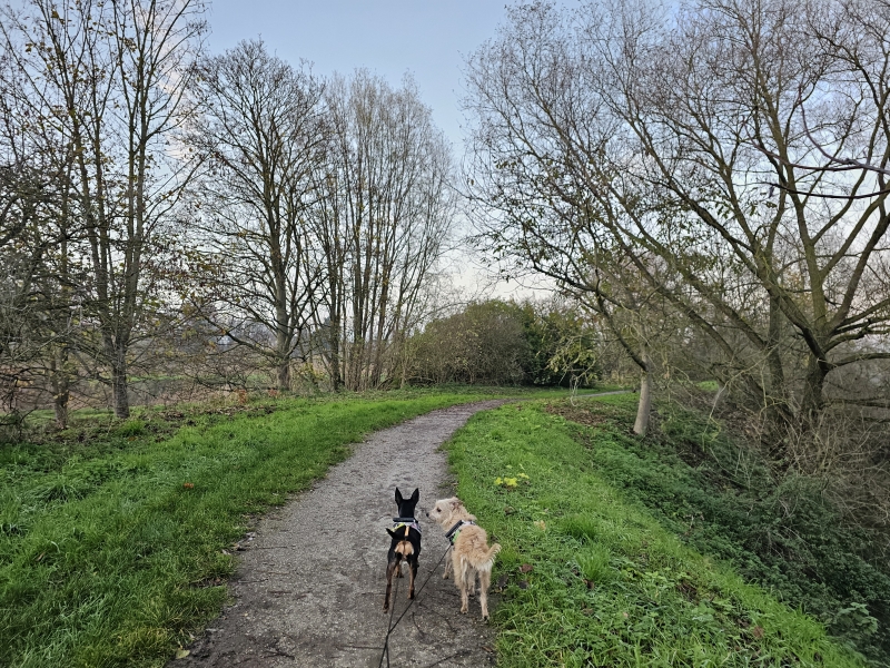 Steendorp Temse wandelroute