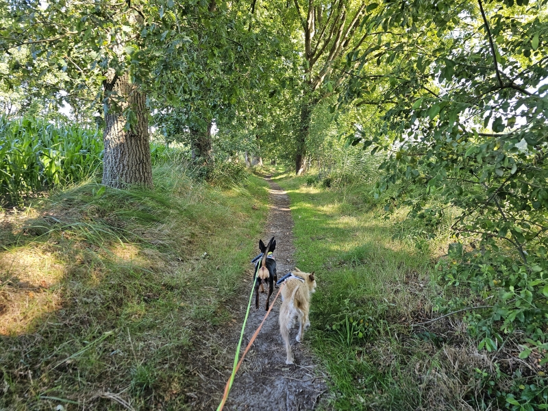Stekene wandelroute Niemandsland