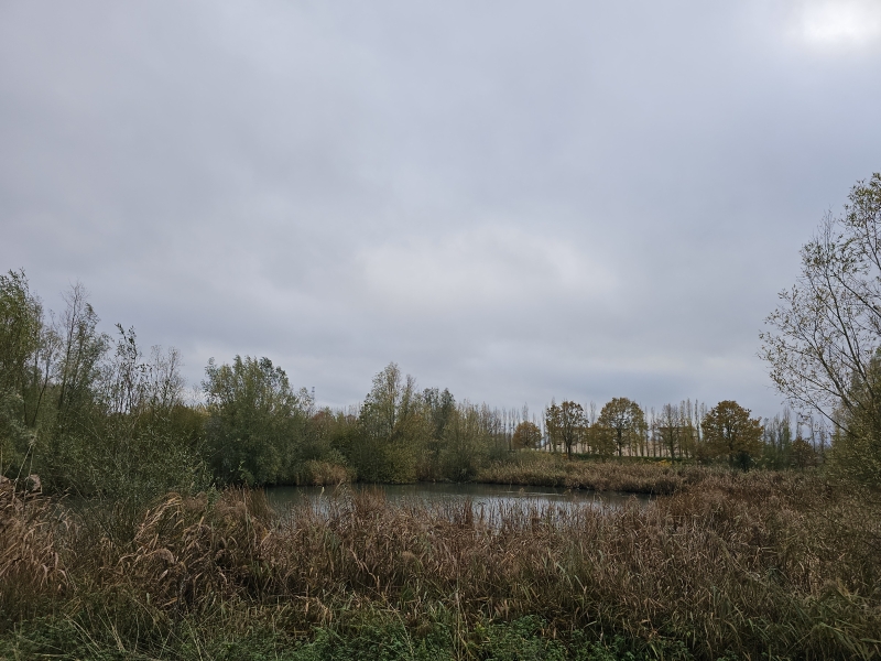 Temse Geboortebos in de Fonteinstraat met losloopweide
