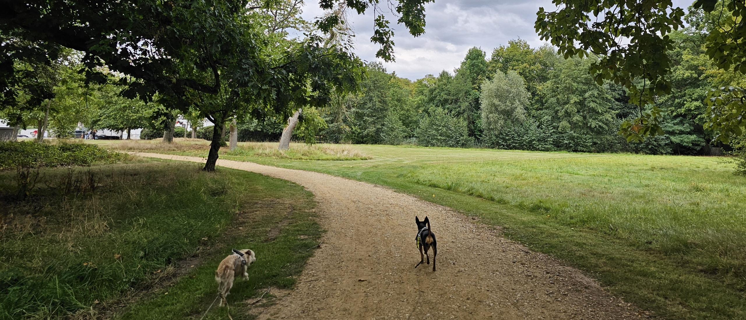 Terlindenpad wandelroute in Edegem door Hof ter Linden en Fort 5