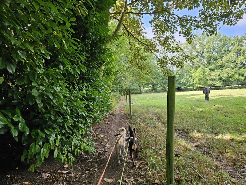 Trage wegen in Stekene wandelroute
