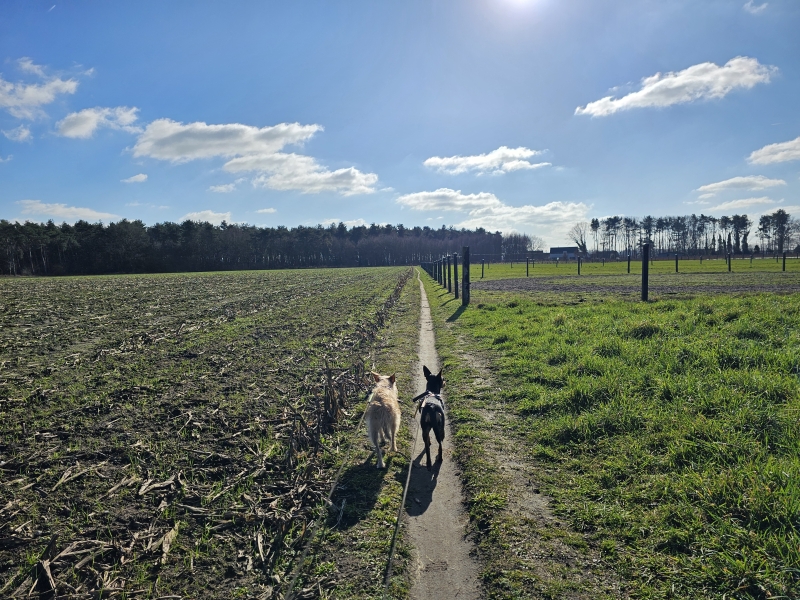 Trage wegen Oosteeklo wandeling