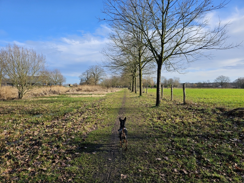 Trage wegen Sint-Katelijne-Waver