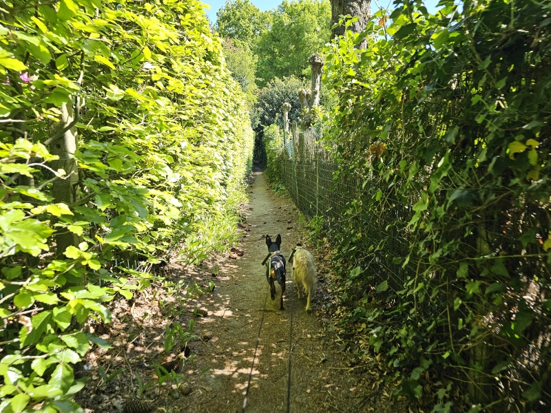 Trage wegen Sint-Martens-Latem Trage wegen Sint-Martens-Latem