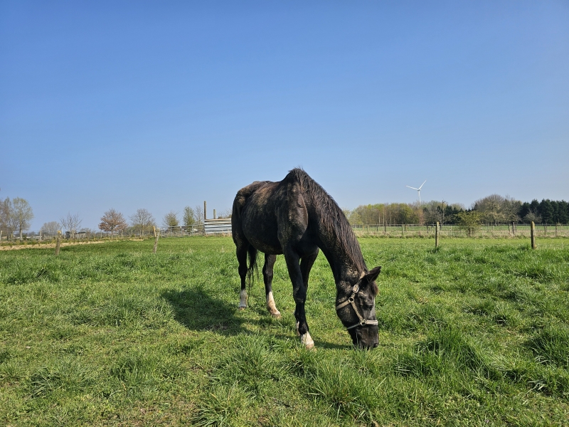 Trage wegen wandeling in Haaltert: Keelman-Zuid Trage wegen wandeling in Haaltert: Keelman-Zuid