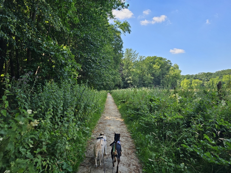 Trage wegen wandeling in Poeke, Aalter