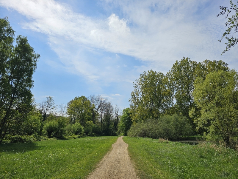 trage wegen wandeling met hond in Wilrijk