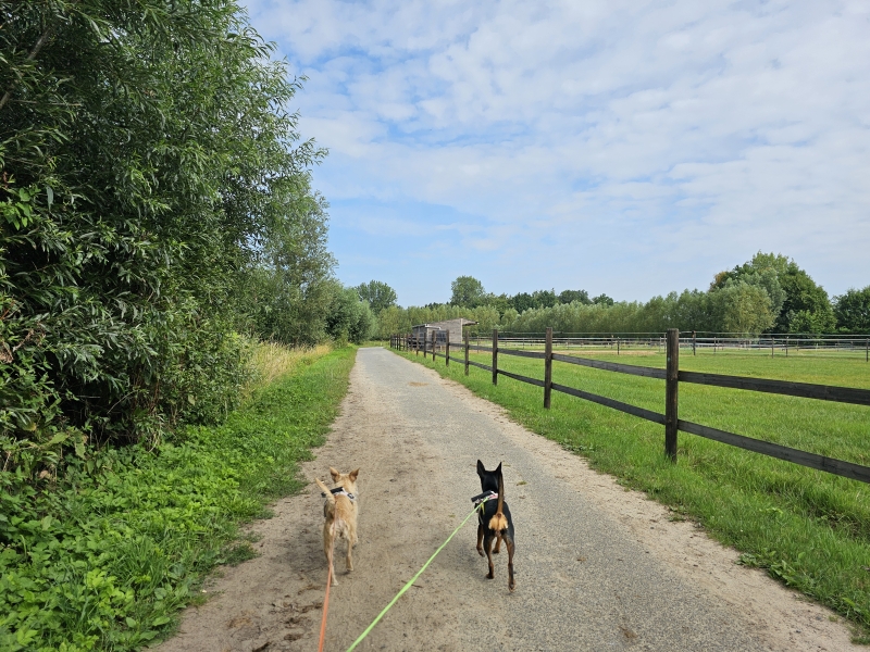 Trage wegen wandeling Belsele