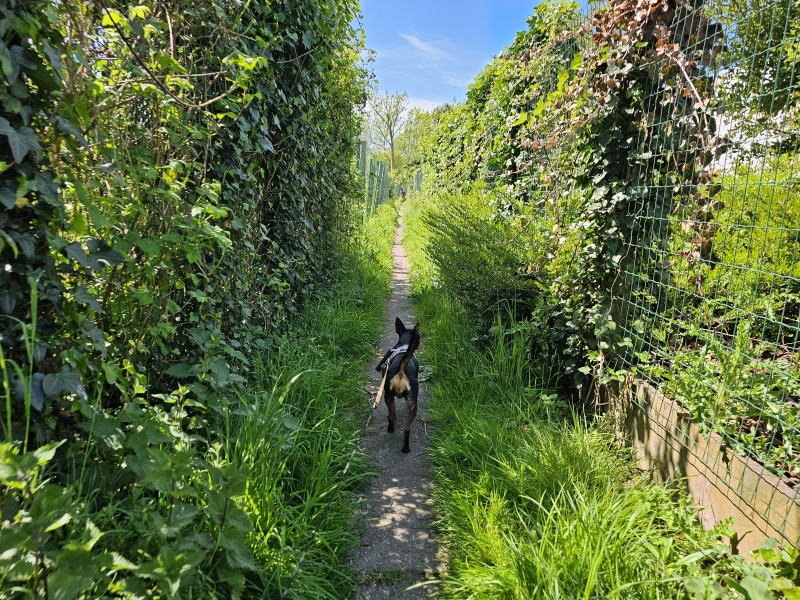 Trage wegen wandelroute in Lede