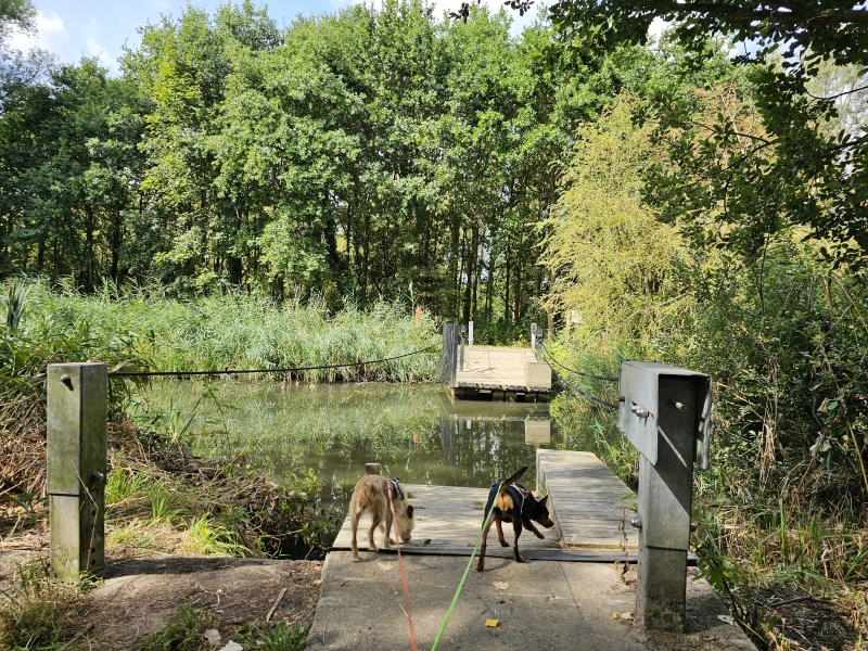 Trekveer in de Oude Schelde in Appels