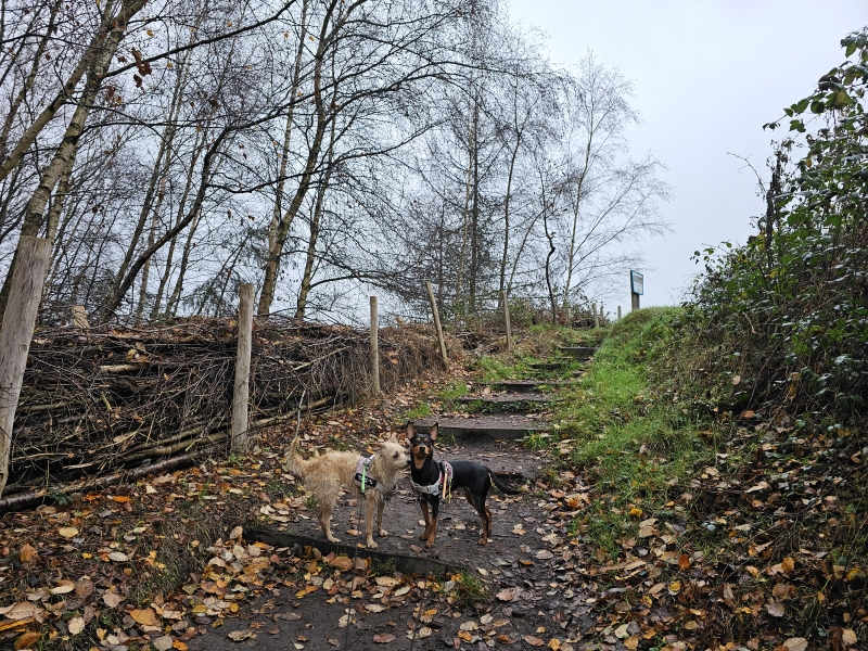Uitkijkheuvel Maldegemveld Aalter