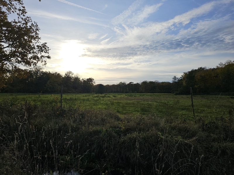 Uitzicht in het Gravenbos in Grimbergen, Humbeek