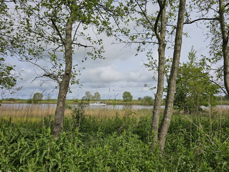Uitzicht in het losloopgebied Kollumerwaard