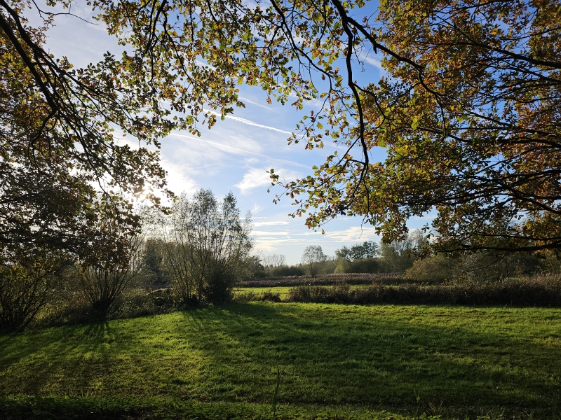 Uitzicht op de Daknamse Meersen in Daknam, Lokeren Uitzicht op de Daknamse Meersen in Daknam, Lokeren