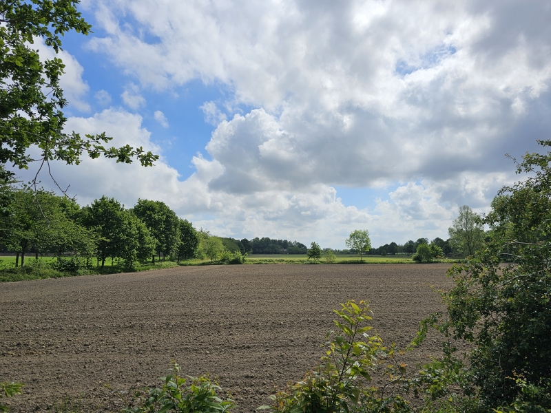 Uitzicht op de velden naast het Wijnendalebos