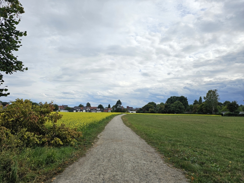 Uitzicht op Hof ter Linden tijdens wandeling in Edegem