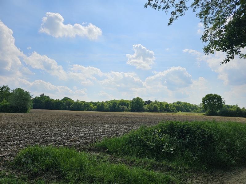 Uitzicht over de natuur in Winksele, Herent in het Dijleland Uitzicht over de natuur in Winksele, Herent in het Dijleland