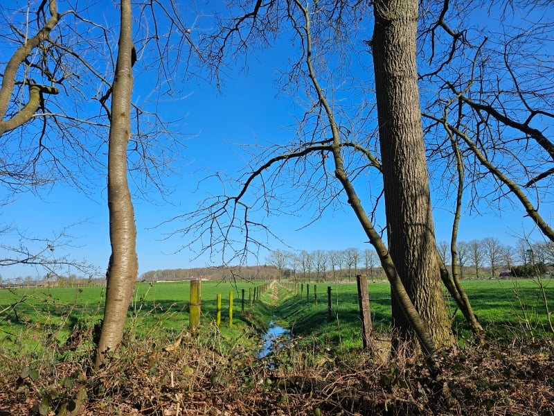 Uitzicht over de velden in het natuurgebied Burkel - Torrebos Uitzicht over de velden in het natuurgebied Burkel - Torrebos