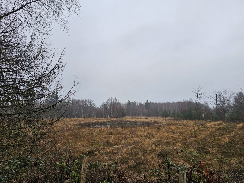 Uitzicht over het Maldegemveld in Aalter