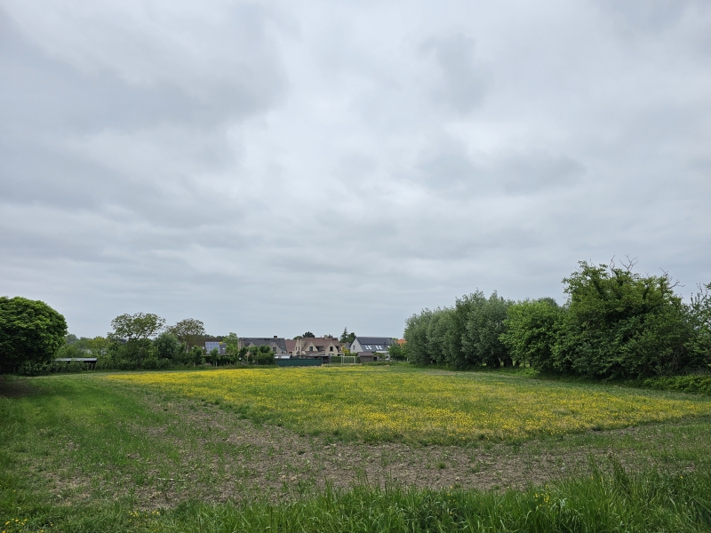 Uitzicht tijdens de wandeling in Ename bij Oudenaarde in de Vlaamse Ardennen