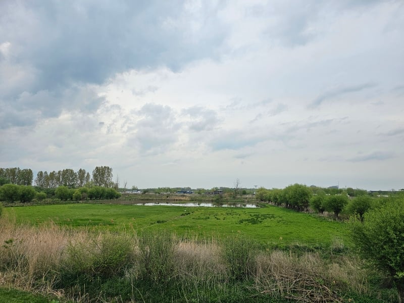 Uitzicht tijdens de wandelroute in Mechelen met hond