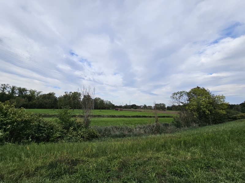 Uitzicht vanop de dijk langs de Rupel in Niel