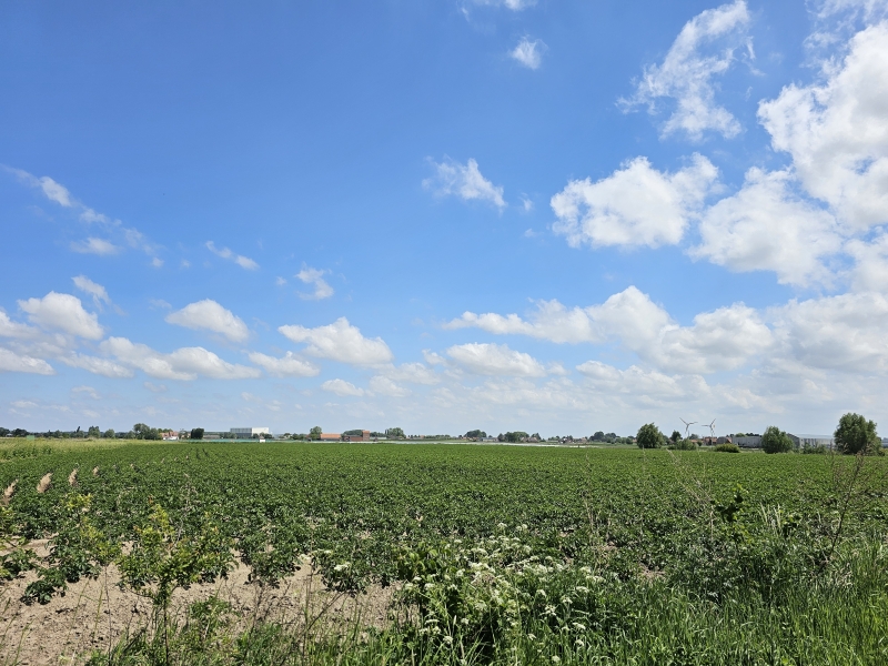 Uitzicht vanop de wandelroute door het Rhodesgoed in Krachtem