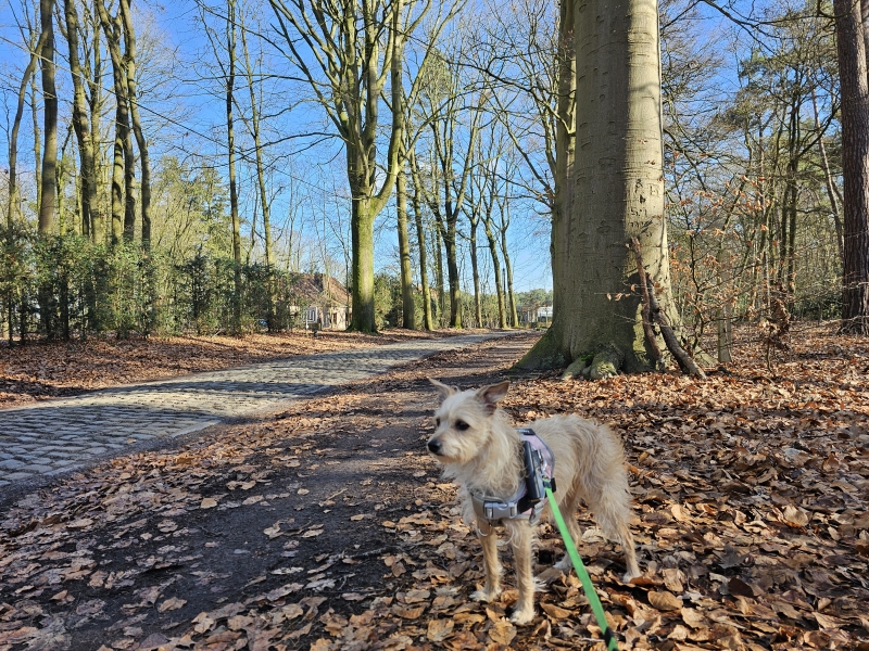 Van de Lembeekse bossen naar Oosteeklo wandelroute