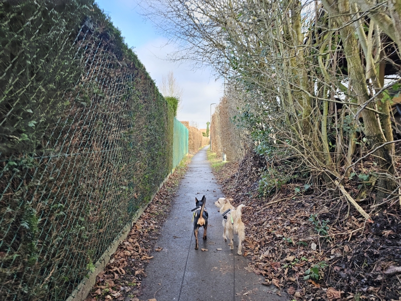 Velaartsbos en Birrebeekvallei wandelroute in Meise
