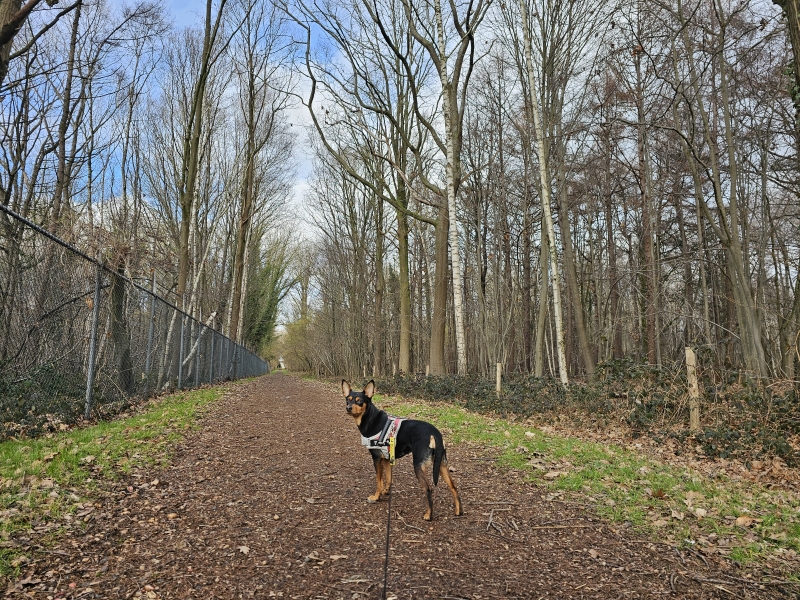 Velaartsbos Meise wandelroute