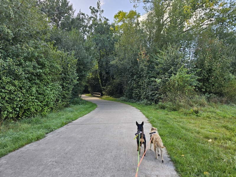 Veldkantpad wandelroute