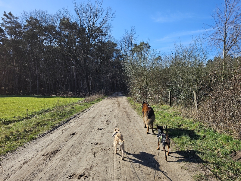 Visbeekvallei Wechelderzande Visbeekvallei Wechelderzande