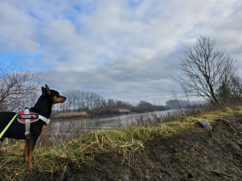 Vlassenbroekse polder wandelroute