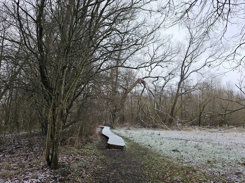 Vlonderpad in de Wellemeersen in Denderleeuw