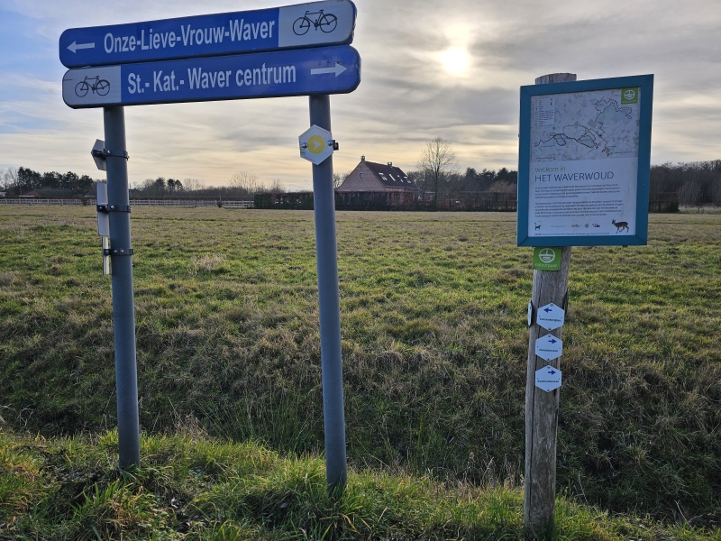 Vossenbergbos Onze-Lieve-Vrouw-Waver